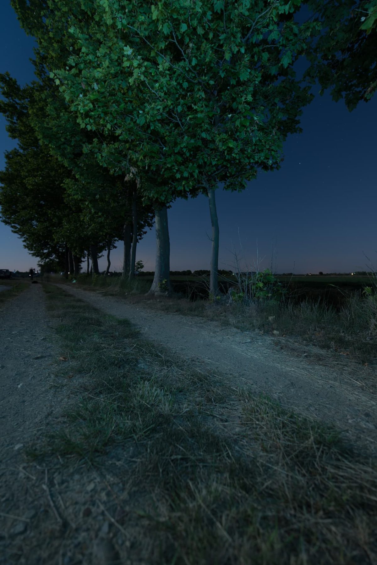 Nightscape, rural path