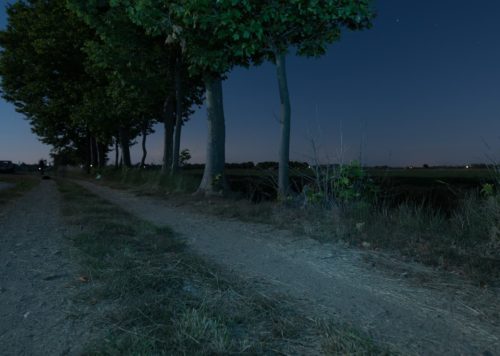 Nightscape, rural path